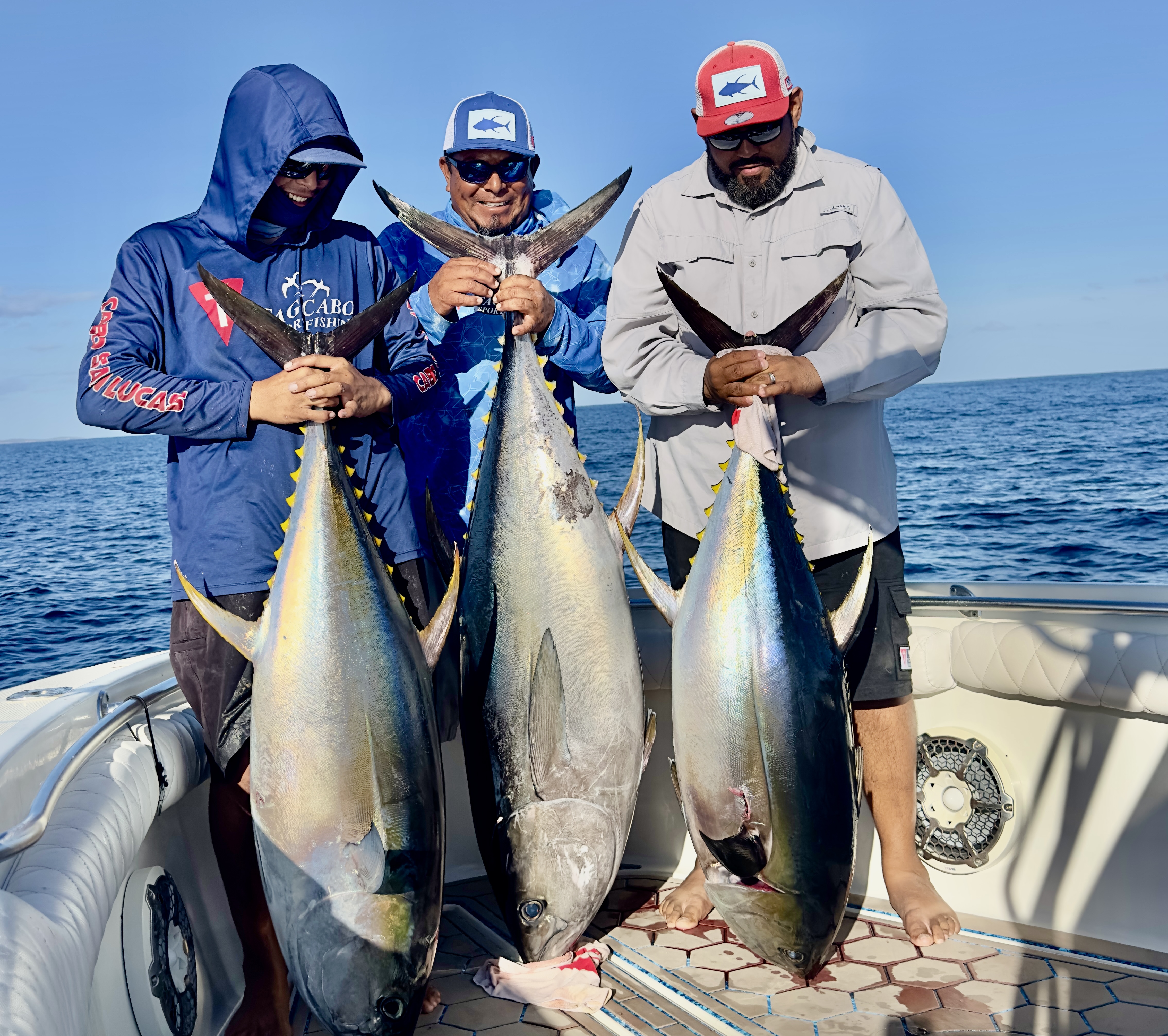 If You Want to Catch Yellowfin Tuna in Cabo, Do This