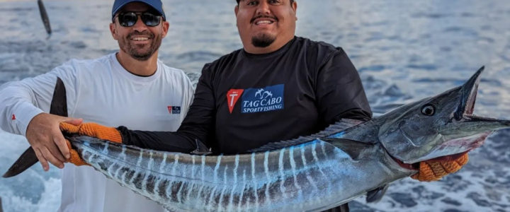 Top Things You Should Know Before Fishing in Los Cabos