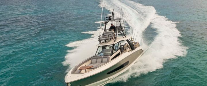 Expert Care for Your Outboard Engine In Los Cabos