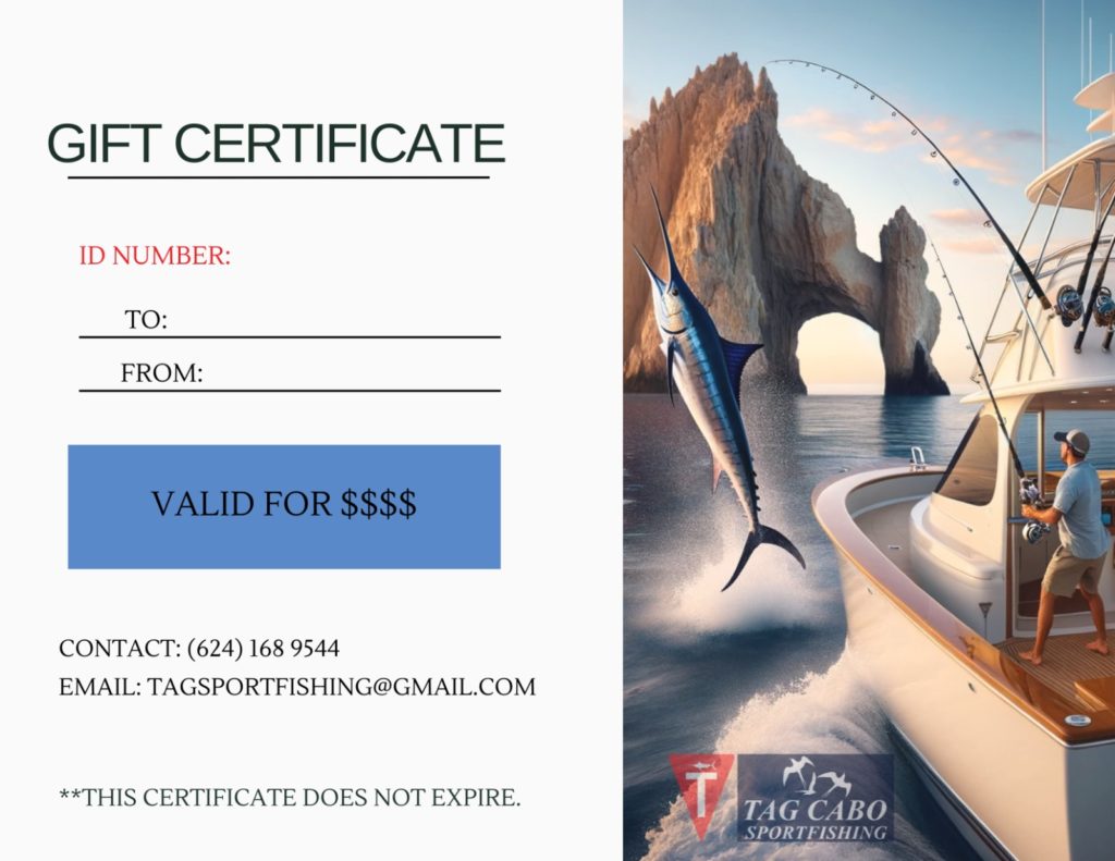 Introducing Tag Cabo Sportfishing Gift Cards