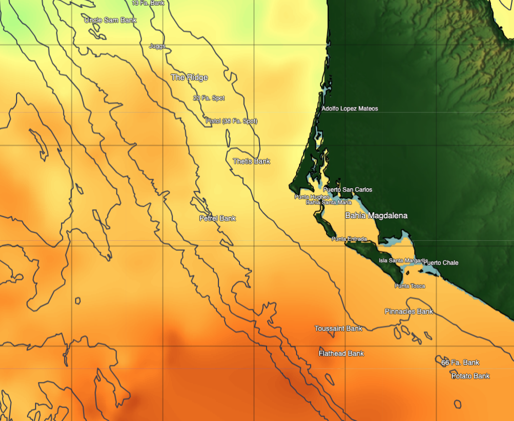 Fishing in Magdalena Bay