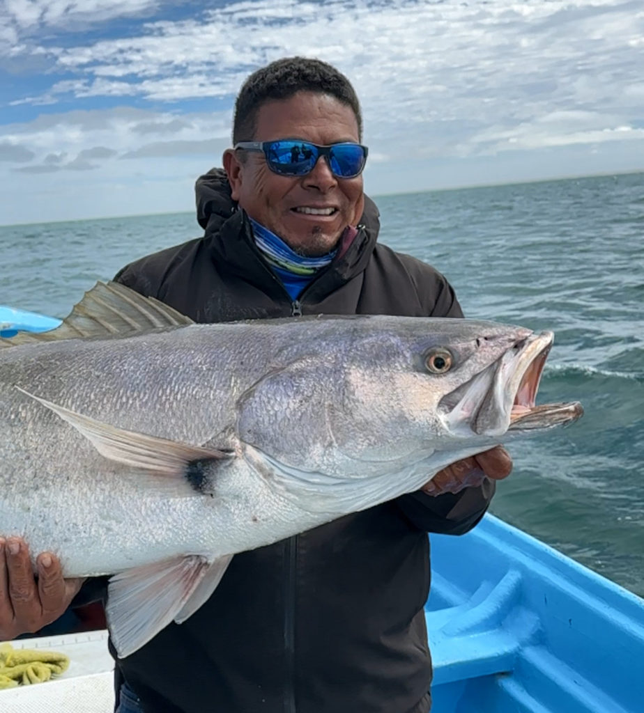 The White Sea Bass Haven of Baja California Sur