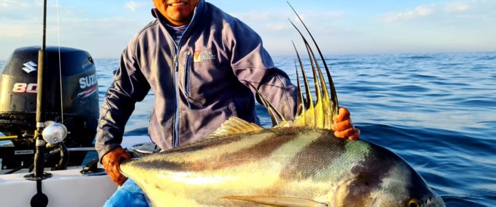 The Best Roosterfish Fishing Spots in the World