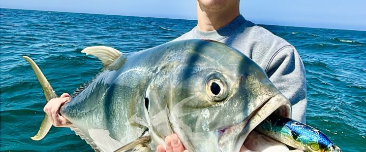 Top Tips for Successful Inshore Fishing in Los Cabos