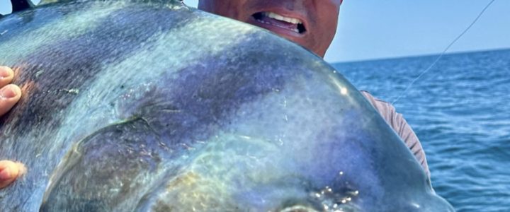 Best Water Temperature for Roosterfish