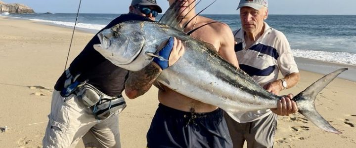 Best Water Temperatures to Catch Fish off the Beach in Los Cabos