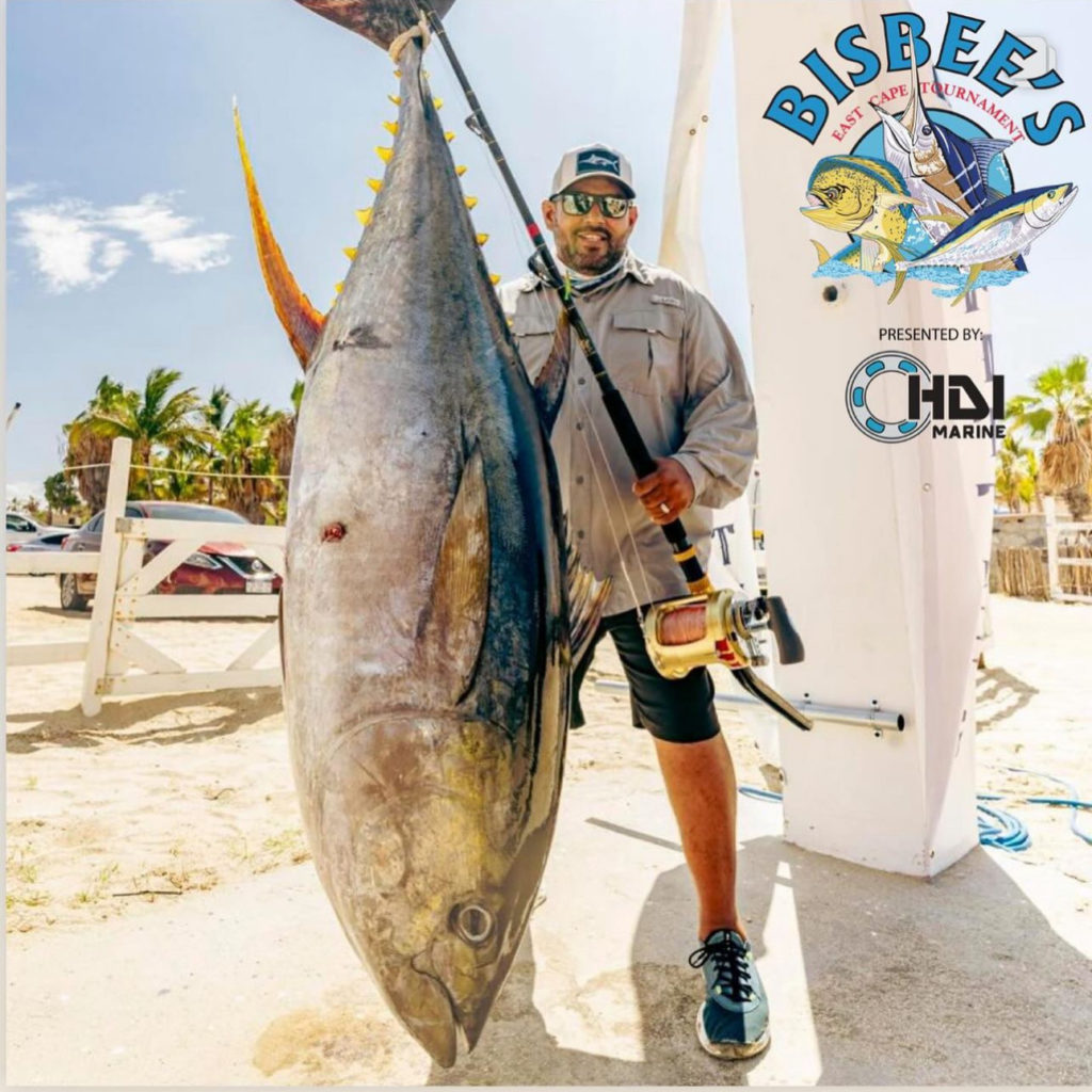 A Cabo Guide to Big Yellowfin Tuna