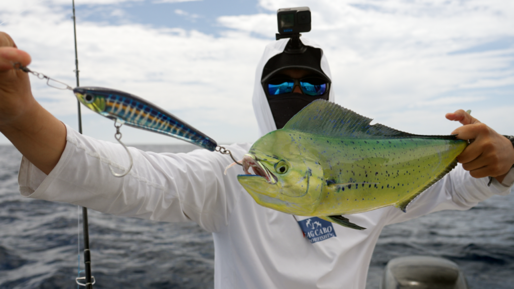 Panga and Center Consoles fishing in Los Cabos 