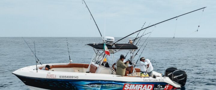 Panga and Center Console Adventures in Los Cabos