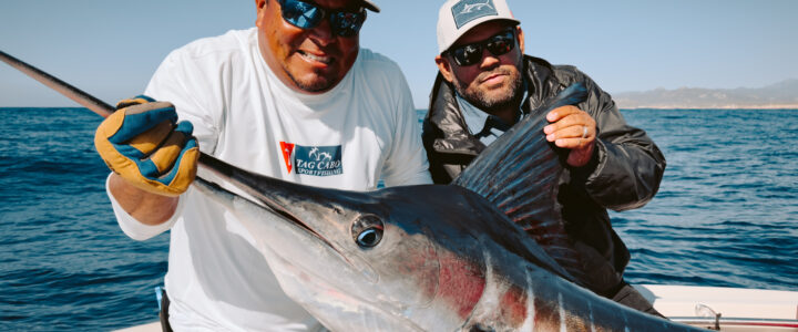 Your Dream Angling Adventure in Cabo San Lucas